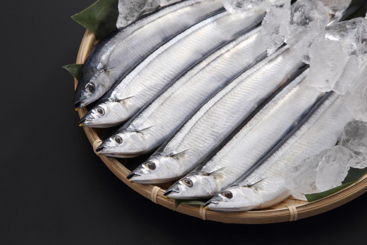 오요 료칸 구마노 노 야도 우미히카리 외부 사진